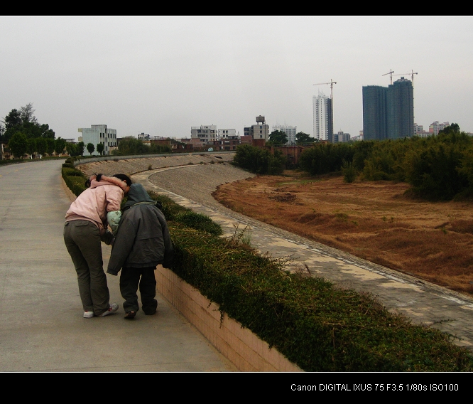 ���ߵ�ĸ��֮һ