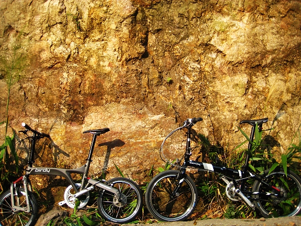 �ұ��ǲ���ACO��SP18