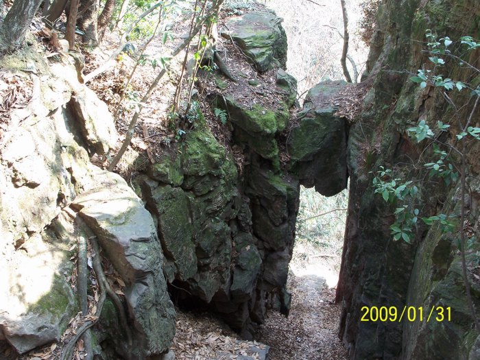 ����׹Ǿ�ȡ����֮һ