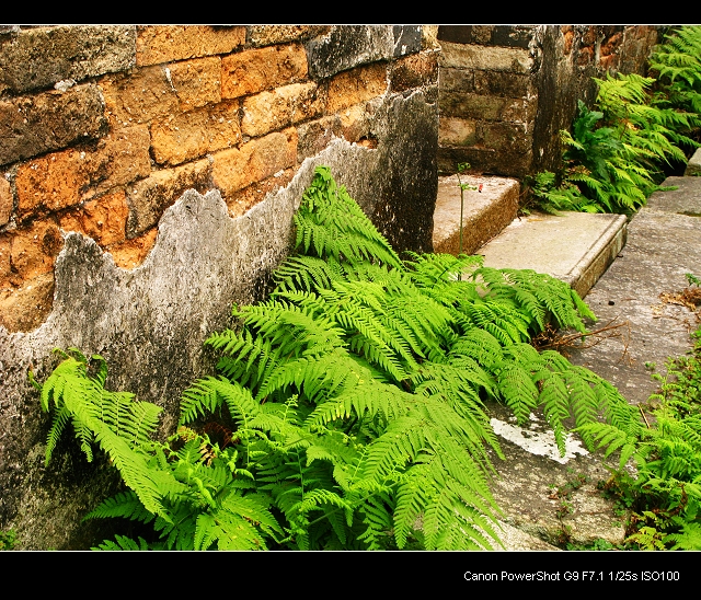 Ұ������