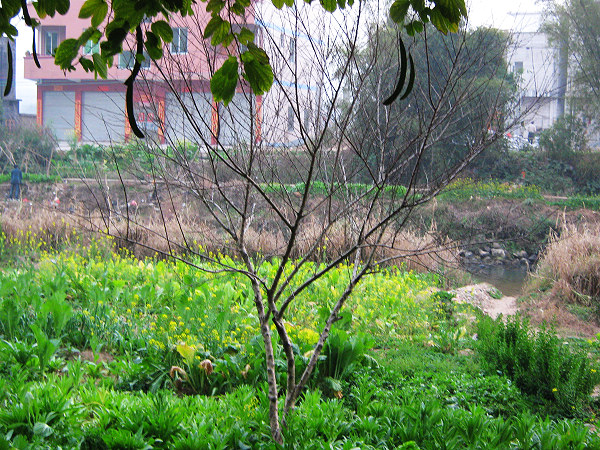 ����ǰ�������ҵ��������ǹ�ͺͺ�ġ�