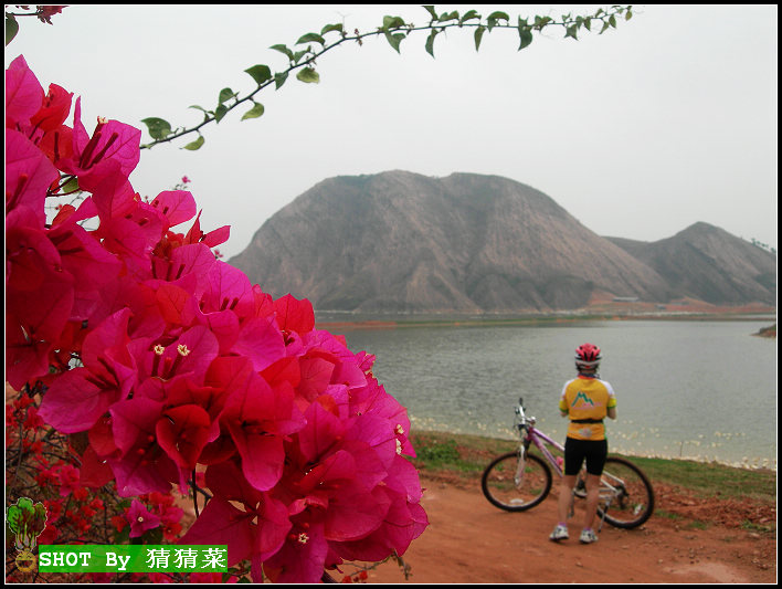 ��ʯ����