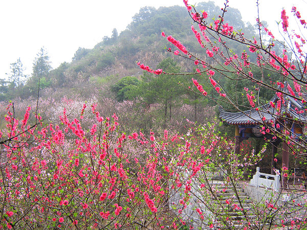 �һ������һ�������ɽ����2��16��