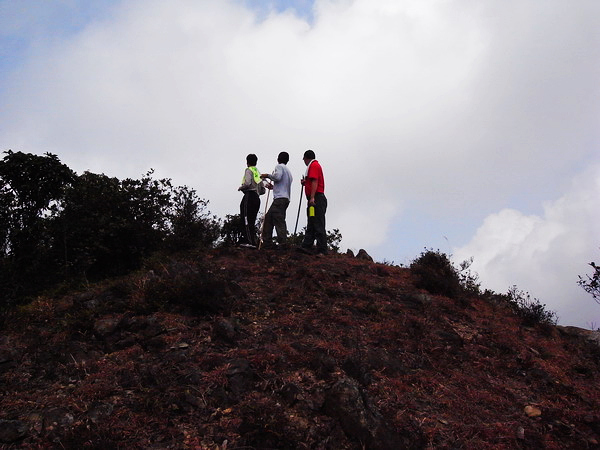 ɽ����Ϊ��