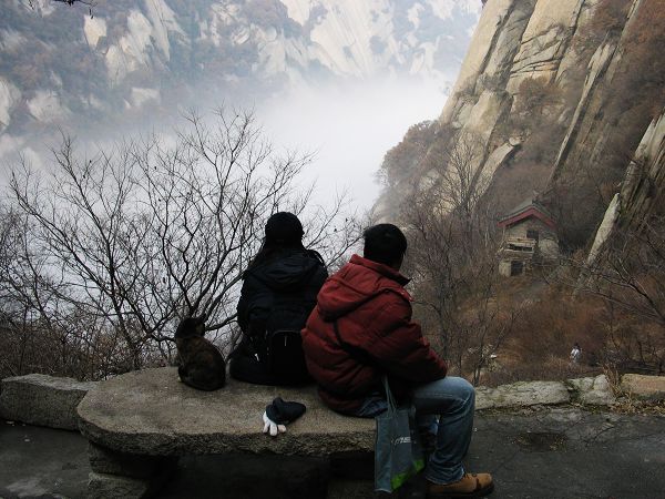 ������������˼��һ��PP