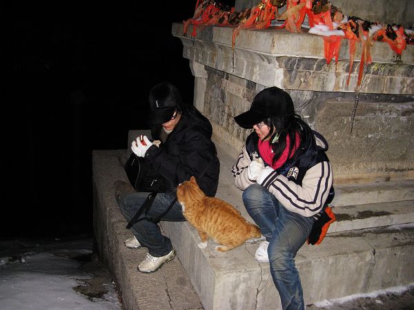 ������Ϣ���������϶����èè