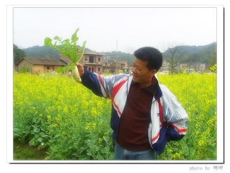 ���³�������ѩ��һ������ܲ�