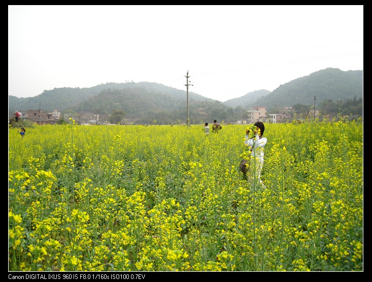 �����е�Ӥ��