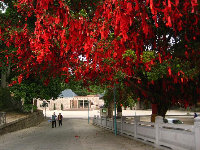 ��ɫ����