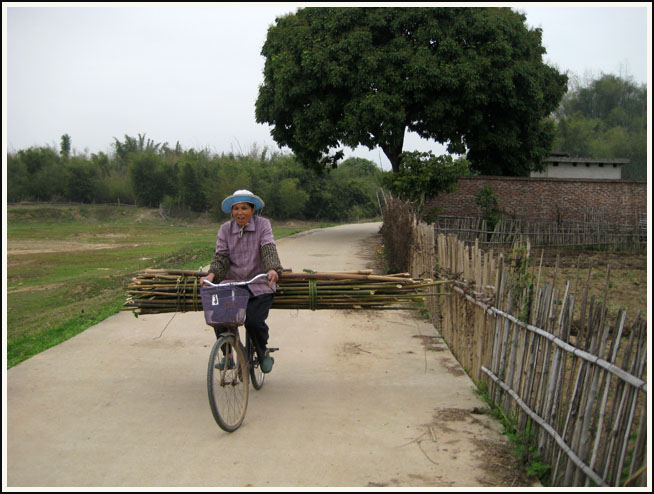 ע�������Ҳ���ȵ�����