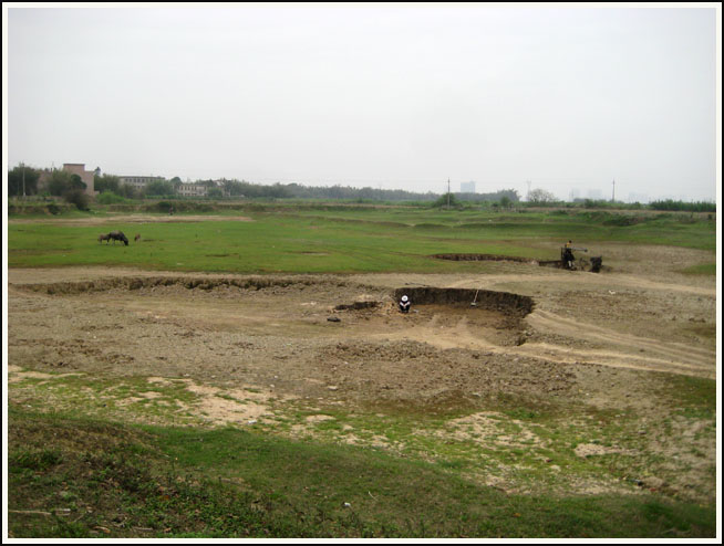 �ɺԵ�����