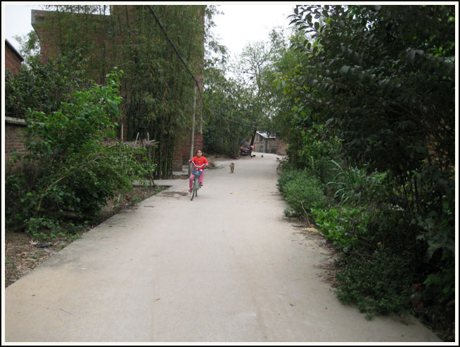 �ﳵ��С����