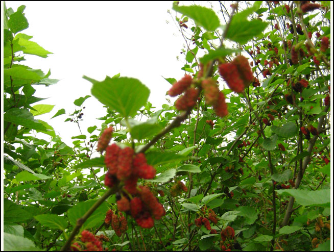 ����������ɣ��֮��