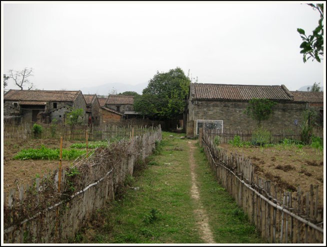 �žɵ����ݴ�