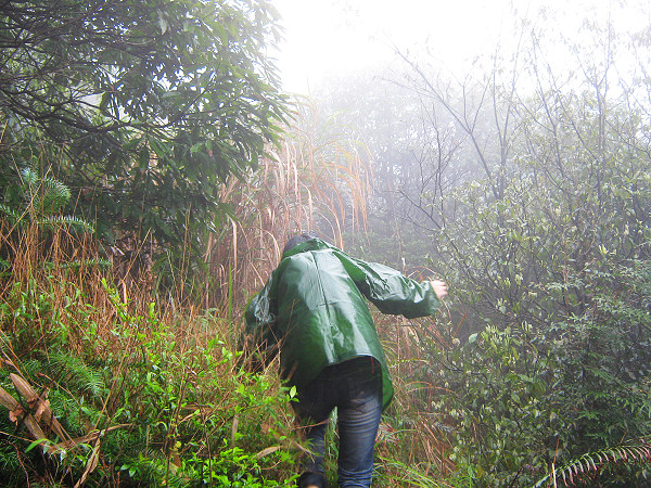 ��ǿ��Ӱ֮С��