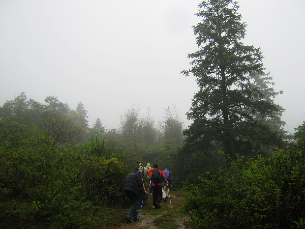 ��ľ��Ӫ�����ɽ