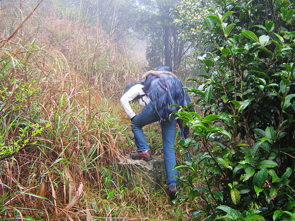 ��ǿ��Ӱ֮����