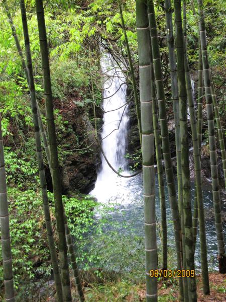 IMG_5469 (��).jpg