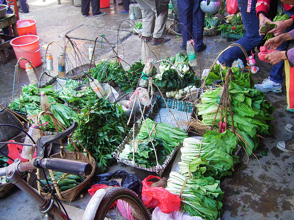 �ϳ������۲�̯