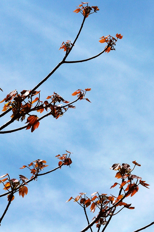 P1010308 - ����.JPG