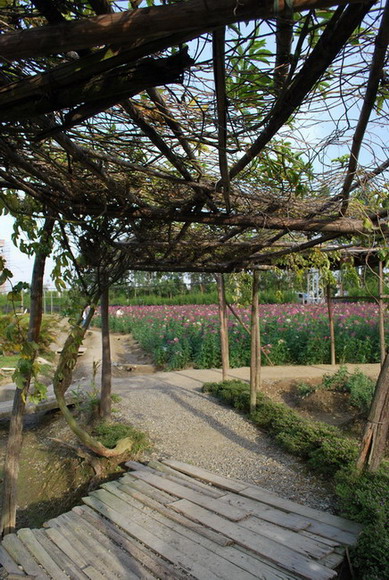 ��԰����