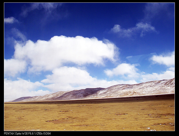 �����·��ɫ