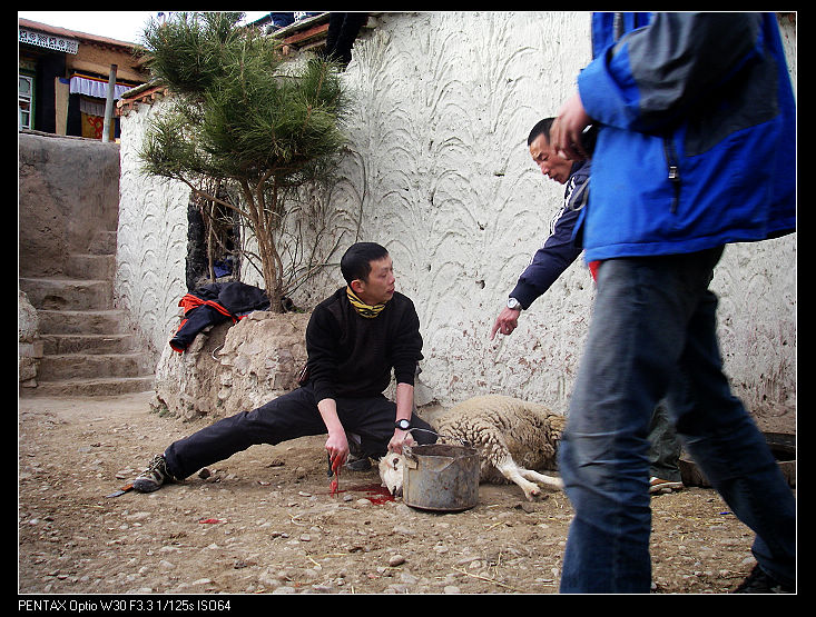 �������ز���ҹ���������֮����