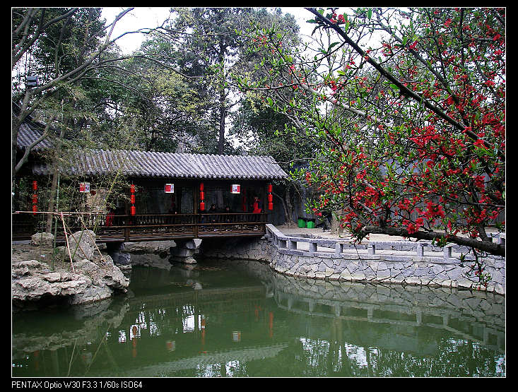 �ɶ�����Ž�