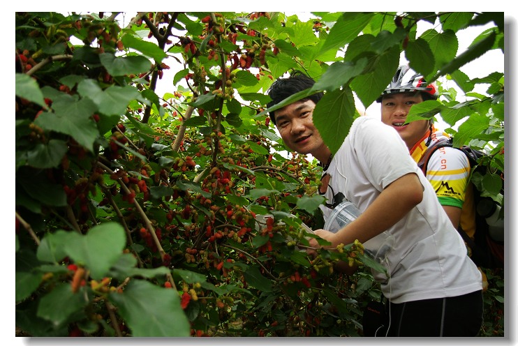 ���Ѿ�������ɣ����