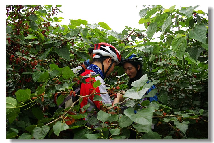 ɣ�����е�����