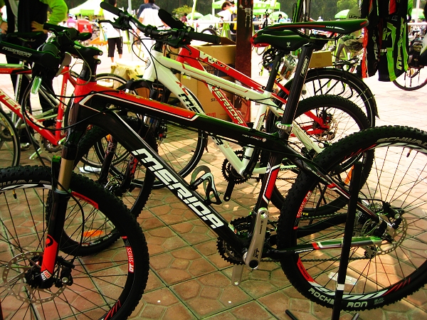 FLX̼��άɽ�س�