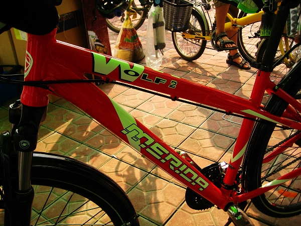 ���Ƴ���Ұ��2��;���г�