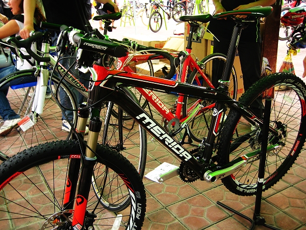 FLX̼��άɽ�س�