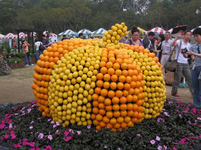 ���� ��.JPG