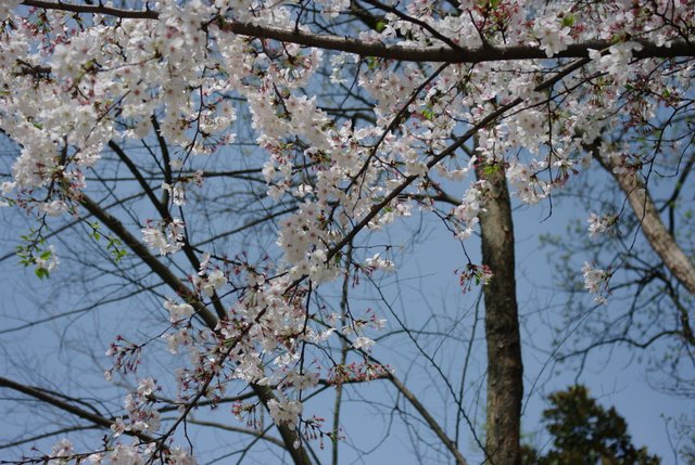 �����������ǳ��ã��ȹ㶫��ů��