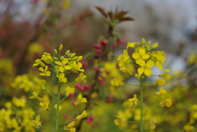 ӣ�������Ȼ�����Ͳ˻���һ������n��Ը��