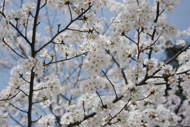 ������ô�ÿ�