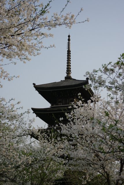 ������԰�������������е���ʽ������˵����ʽ��