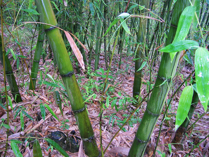 ���񣬻�û����