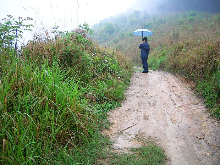 ����Ƭ��