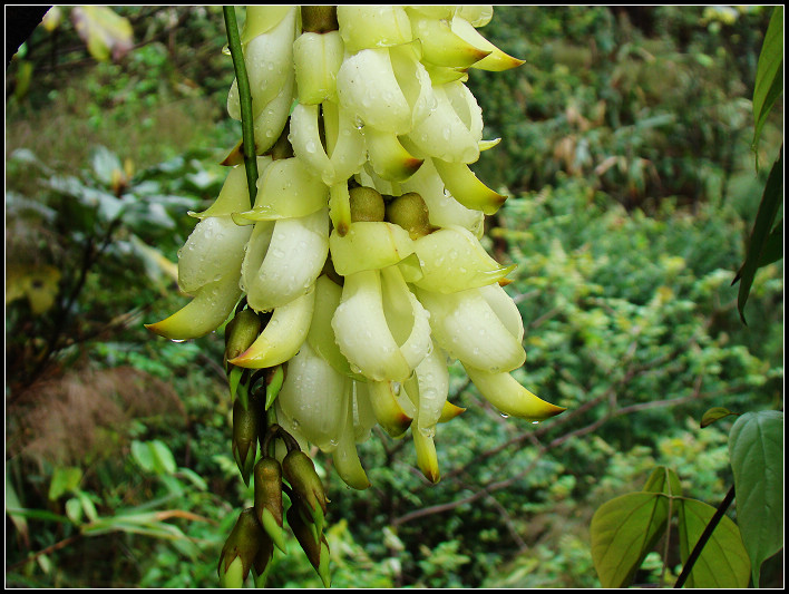 ���ڰ�·�Ϸ�����