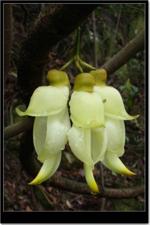 ��������ȸ��