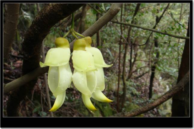 ��������ȸ��