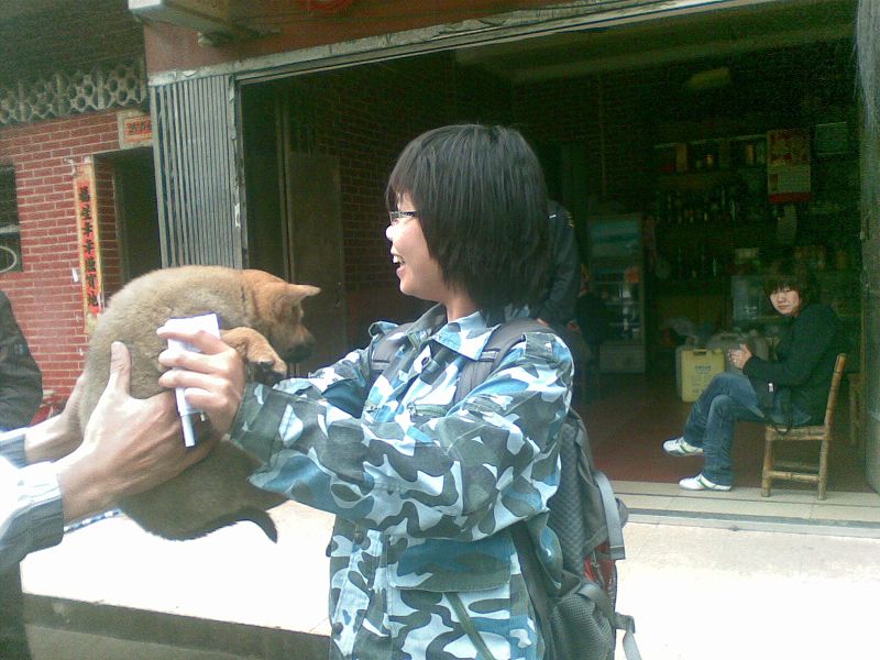 ��ֻ�������Ҳ���