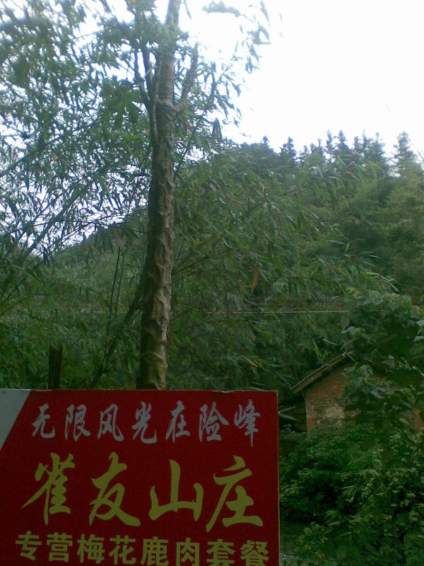 MM�о�ֲ������˵��þ���ľ��