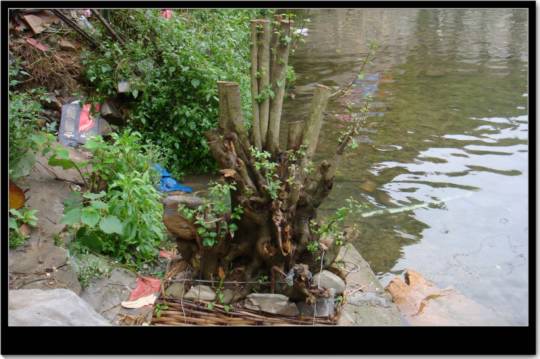 ��Ϣվ�ĺӱ����Զž�