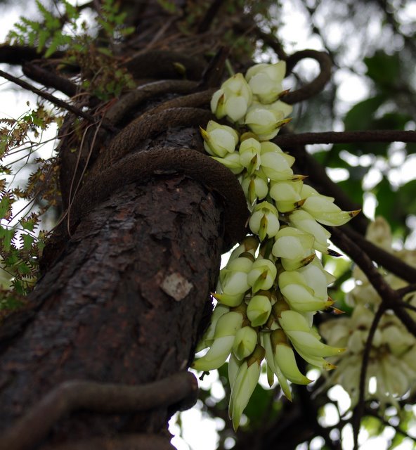 �����̸�