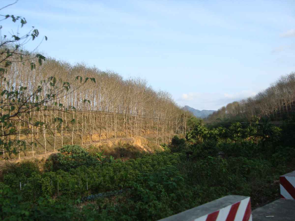 ���ϳ��� 233.JPG