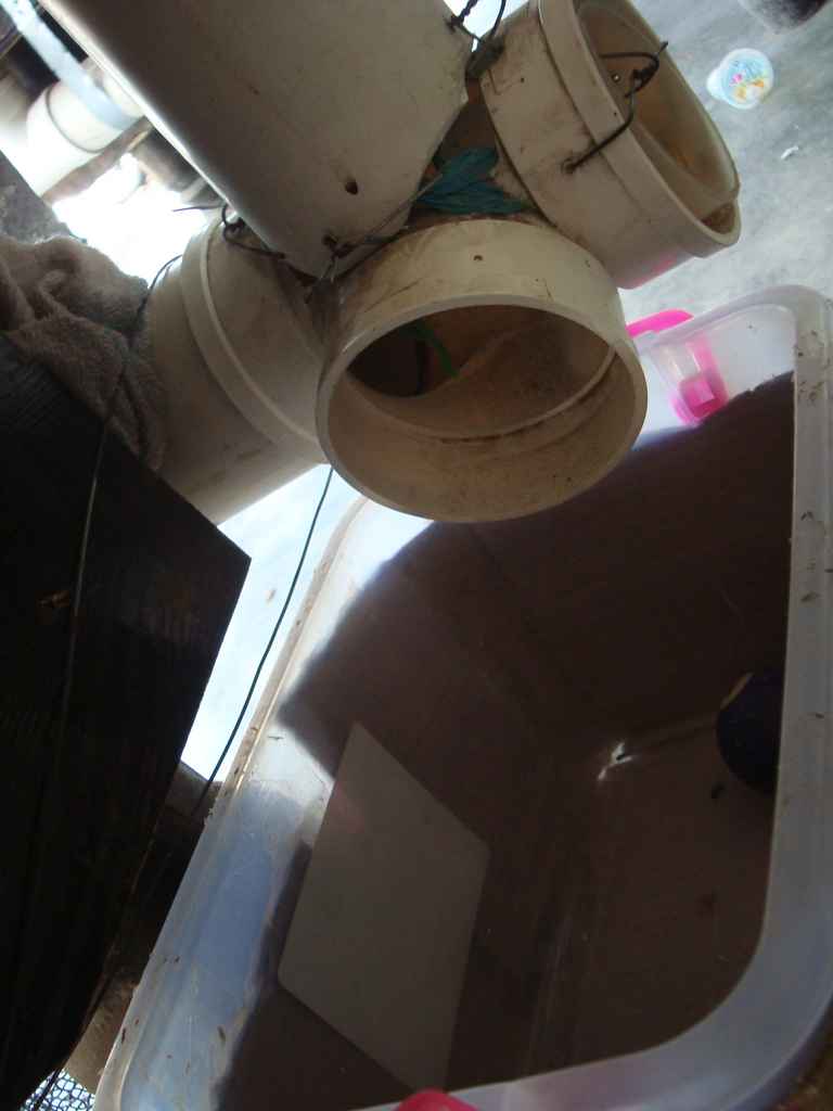 ��ţ������̨