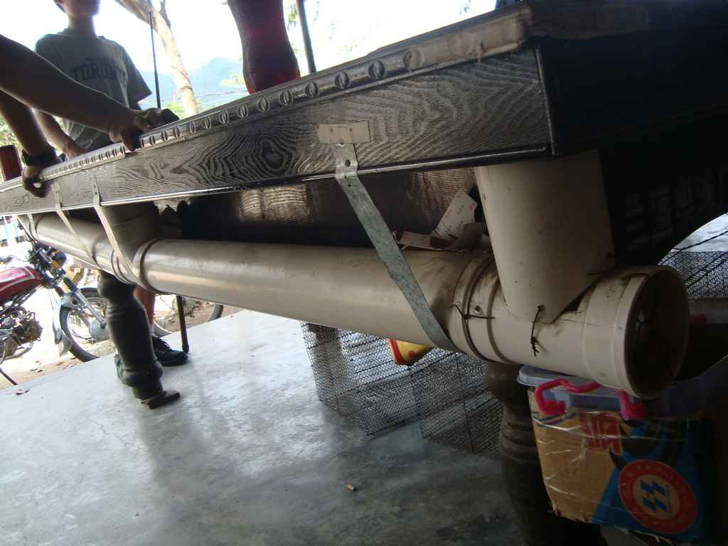 ��ţ������̨